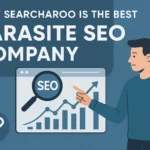 Why Searcharoo is the best parasite SEO company